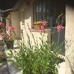 Bed & Breakfast D'hotes Lovely Planette Nîmes