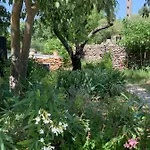D'hotes Lovely Planette Bed & Breakfast Nîmes