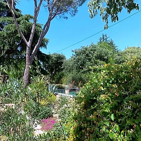 Oda ve Kahvaltı D'hotes Lovely Planette Nîmes