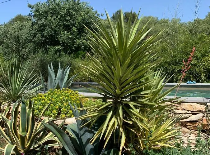 D'hotes Lovely Planette 4* נים