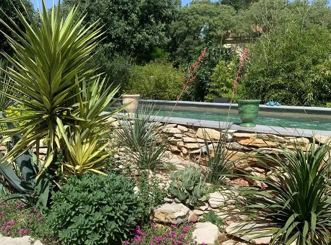 D'hotes Lovely Planette